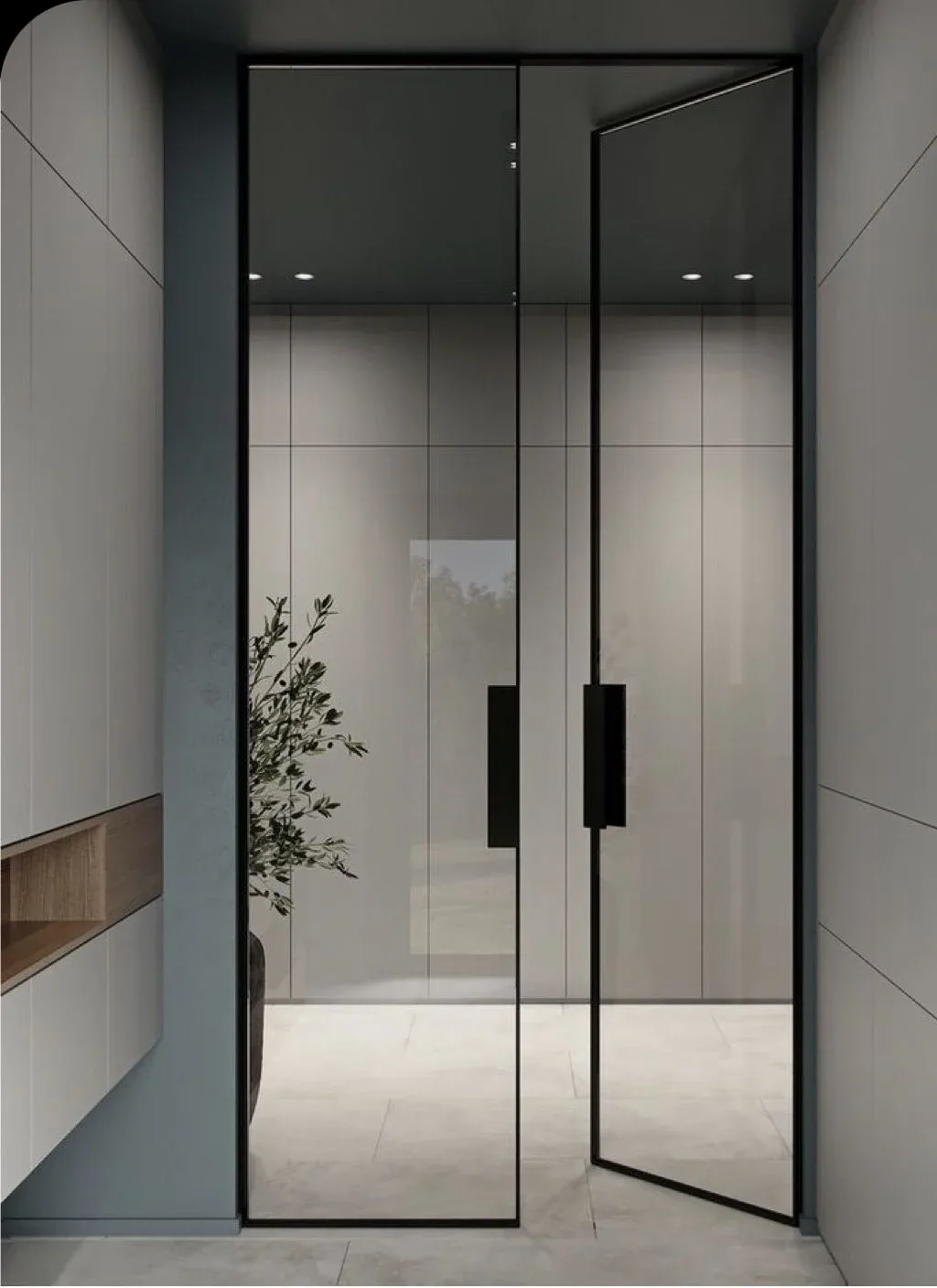 Glass Door Systems 1